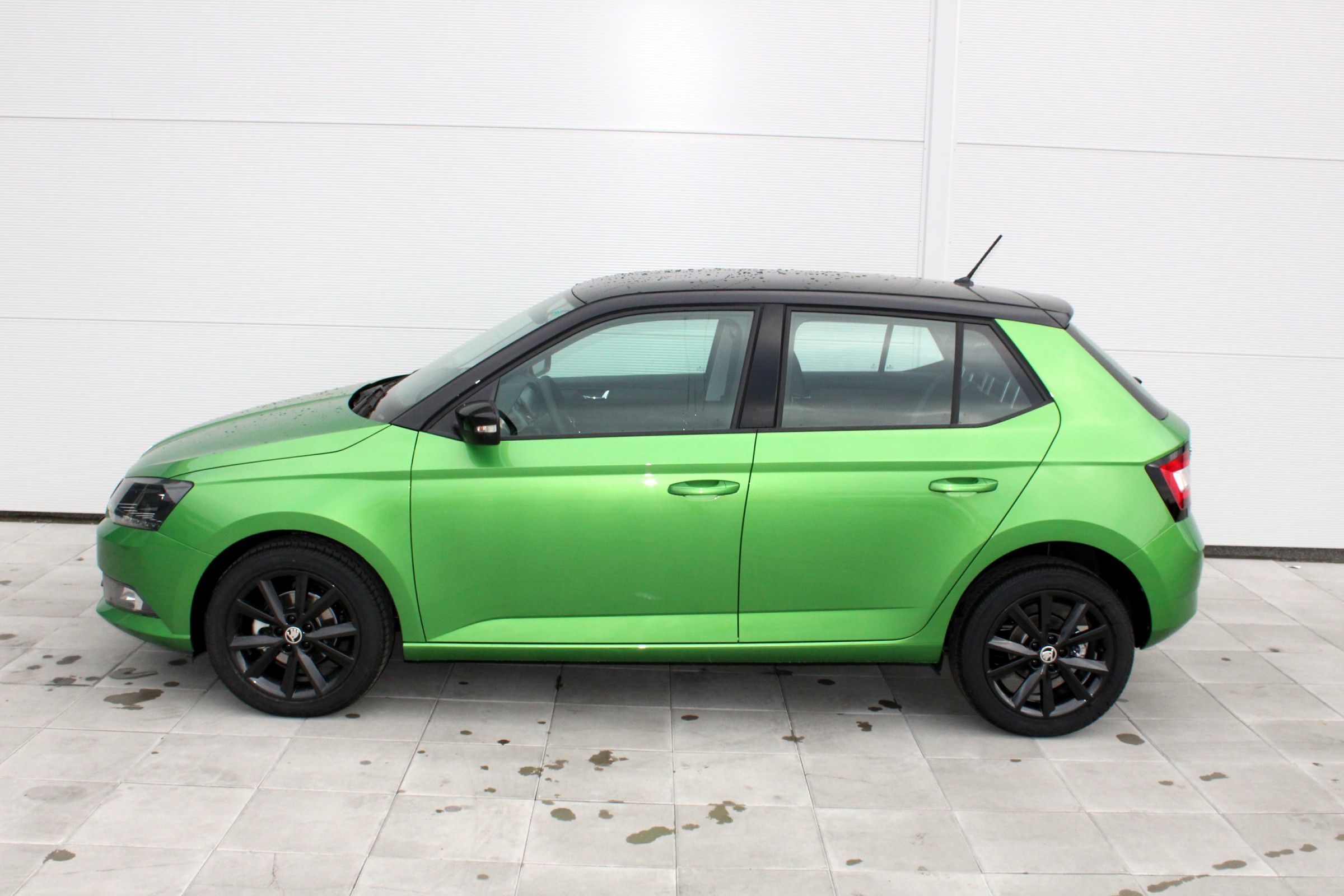 Skoda fabia 4 поколения